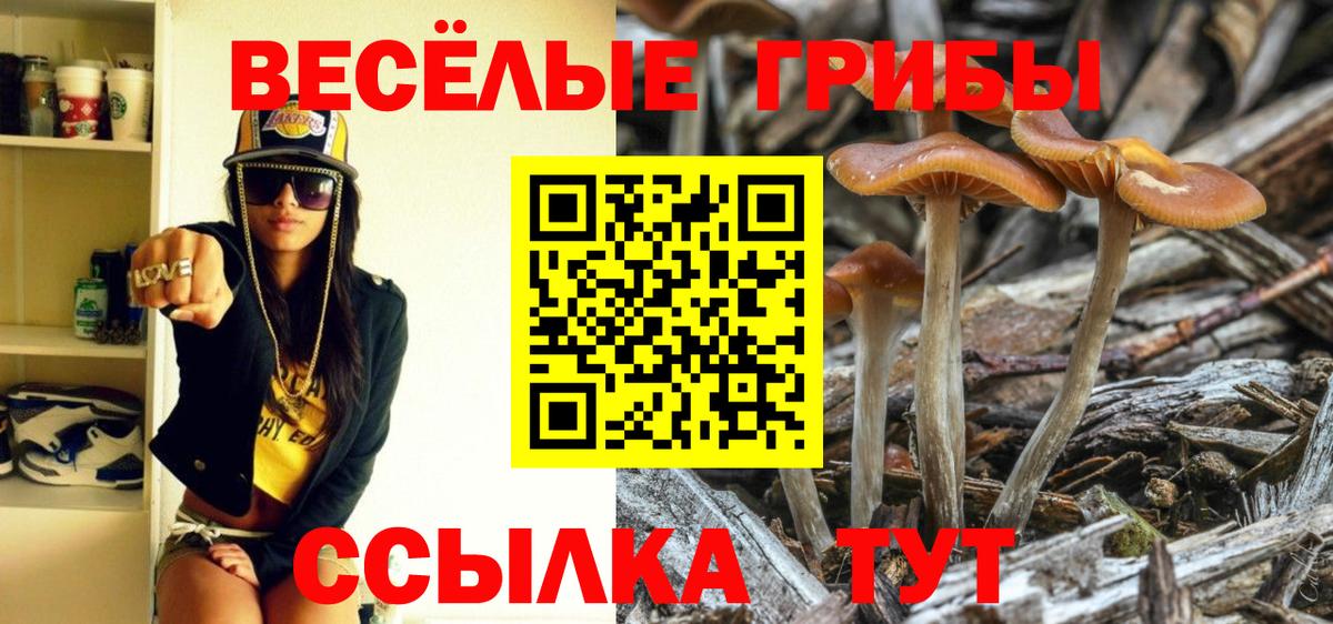 Галлюциногенные грибы Magic Shrooms Сальск