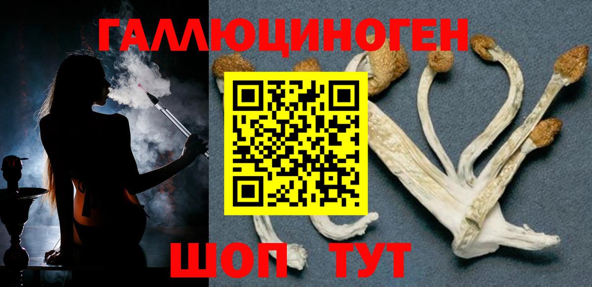 Псилоцибиновые грибы Psilocybe  Вход с VPN  Псилоцибиновые грибы Cubensis  Сальск 